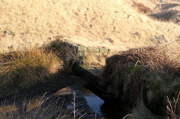 summitchelburn016 1