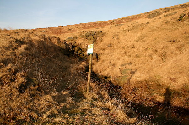 summitchelburn015 1