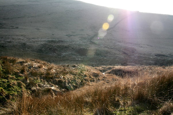 summitchelburn029 1