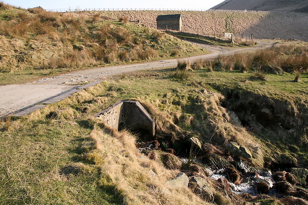 summitchelburn027 1