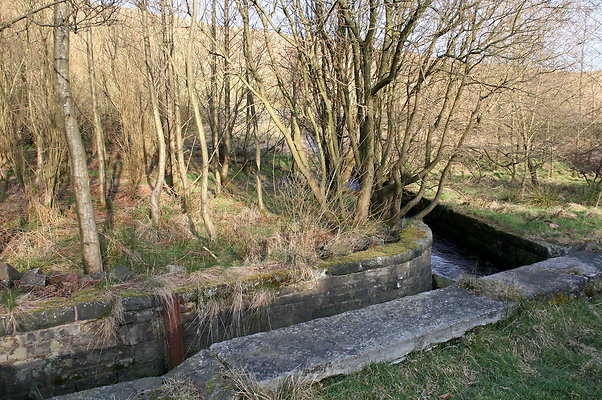 summitchelburn062