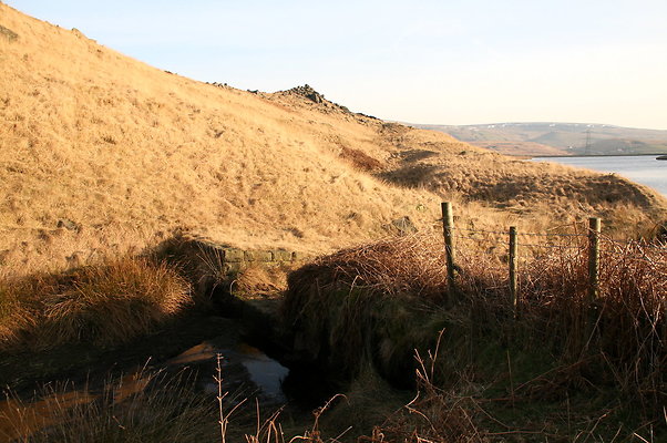 summitchelburn017 1