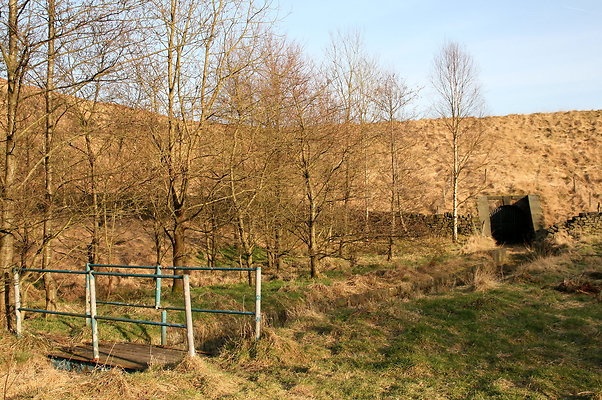 summitchelburn057