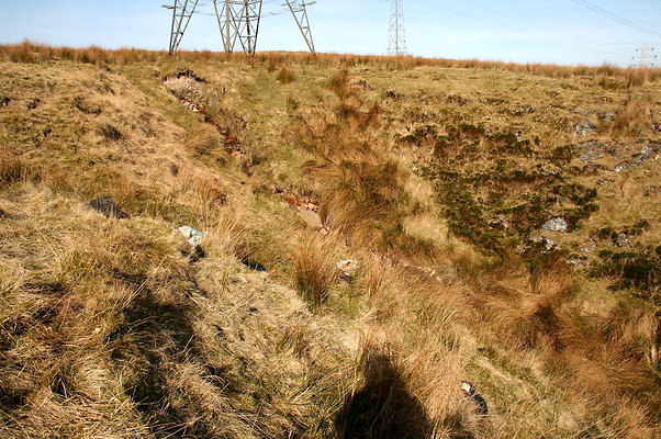 HungerHill036