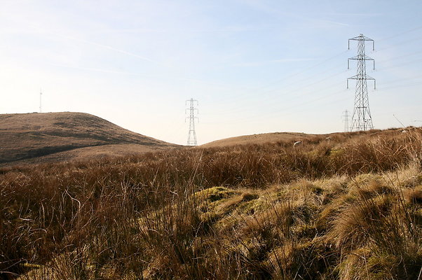 HungerHill045