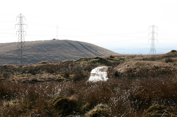 HungerHill012