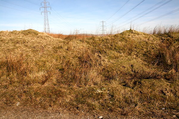 HungerHill026