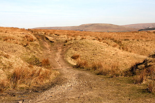 HungerHill047