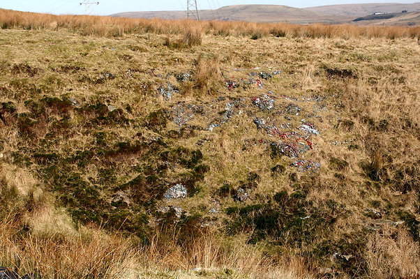 HungerHill032