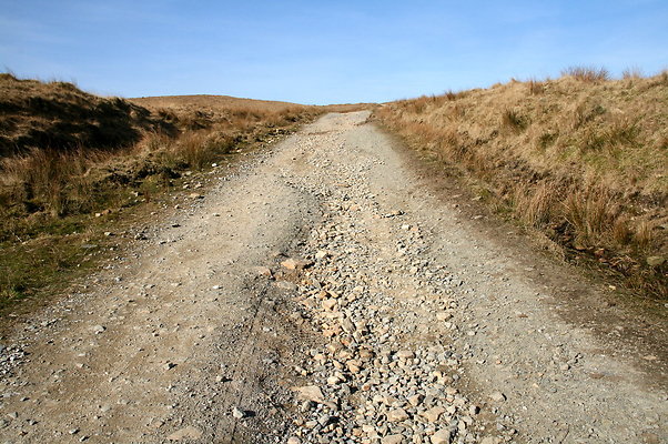 HungerHill009