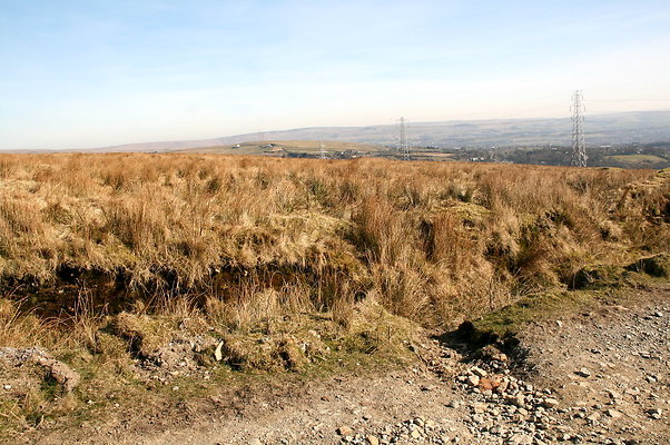 HungerHill011