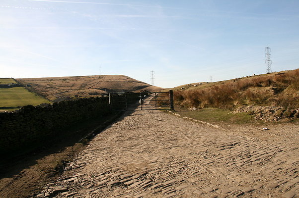 HungerHill054