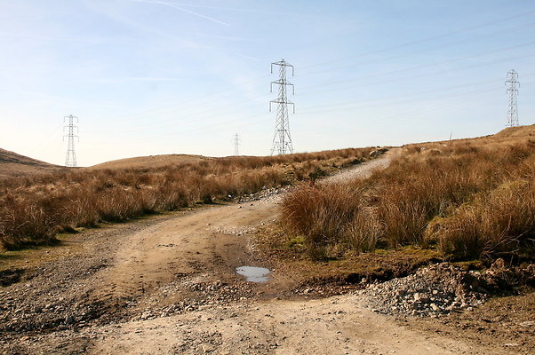 HungerHill046
