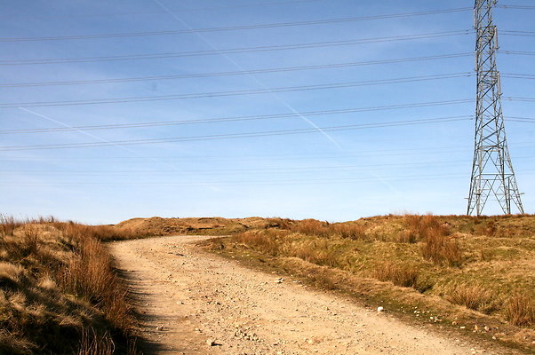 HungerHill044