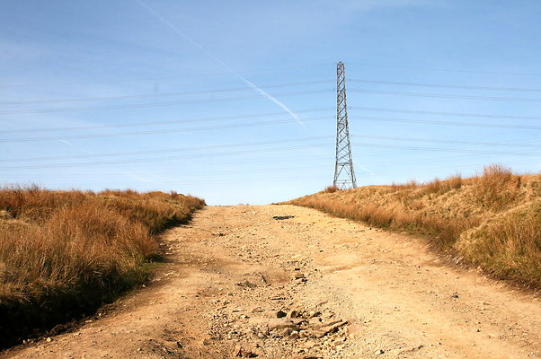 HungerHill052