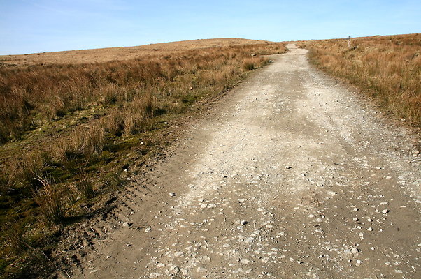 HungerHill016