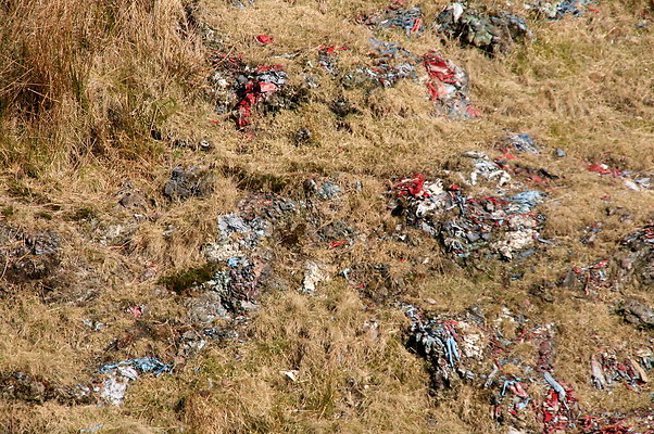 HungerHill033
