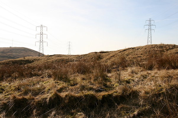 HungerHill025