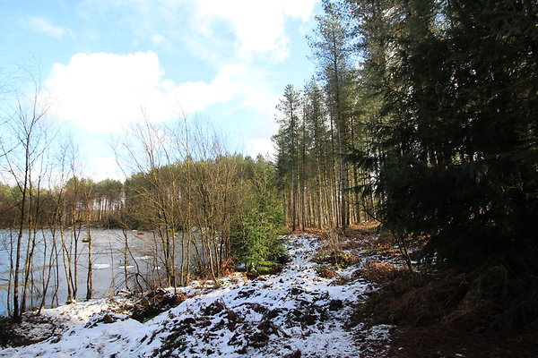 delamereforest015