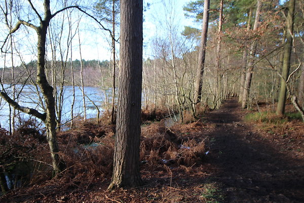 delamereforest106 delamereforest106