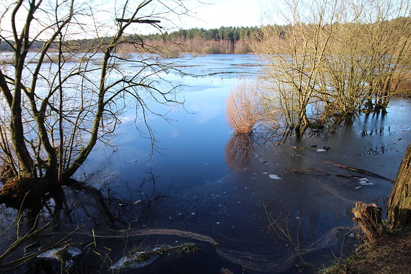 delamereforest104 delamereforest104