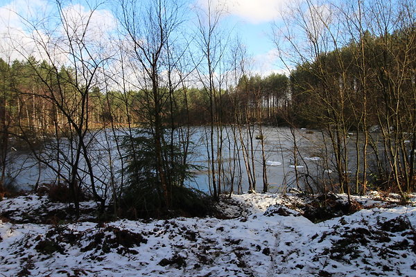 delamereforest014