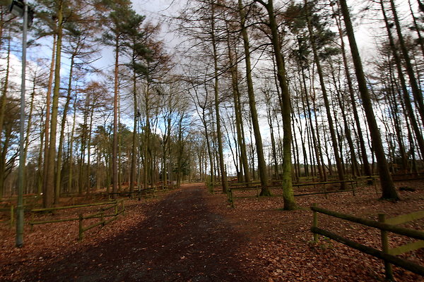 delamerewhitefield003 delamerewhitefield003