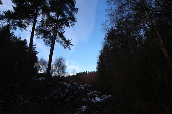 delamereforest119 delamereforest119