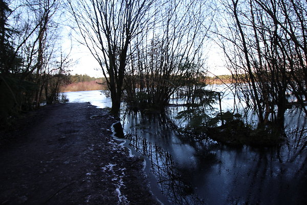 delamereforest092