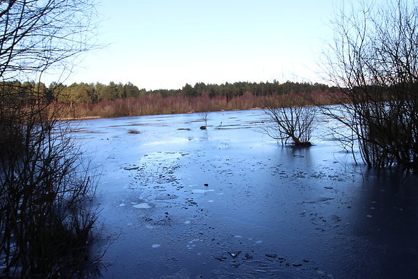 delamereforest096 delamereforest096