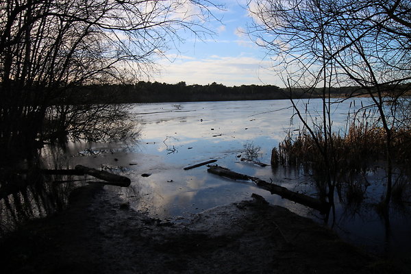 delamereforest097 delamereforest097