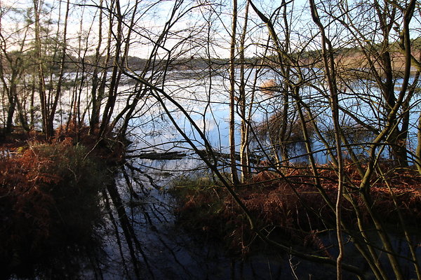 delamereforest102 delamereforest102