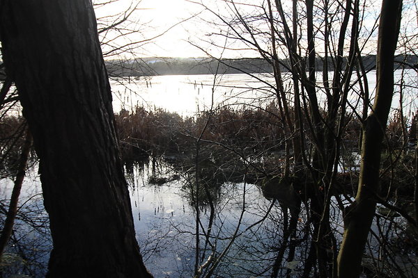 delamereforest108 delamereforest108