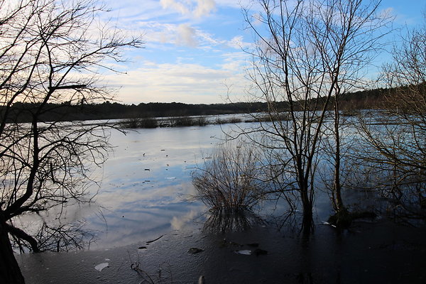 delamereforest105 delamereforest105