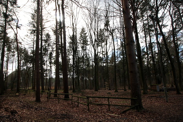 delamerewhitefield002 delamerewhitefield002