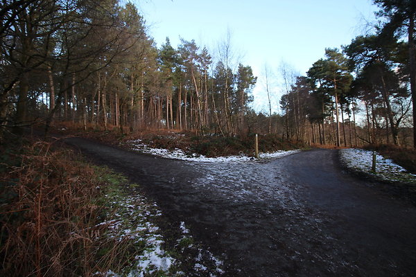 delamereforest120 delamereforest120