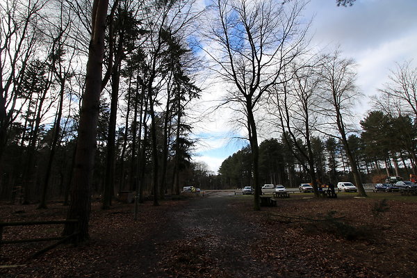 delamerewhitefield001 delamerewhitefield001