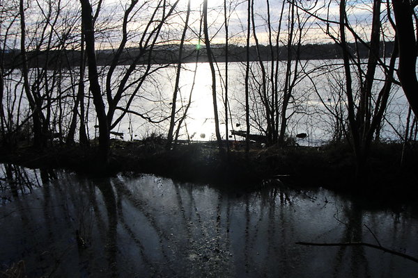 delamereforest109 delamereforest109