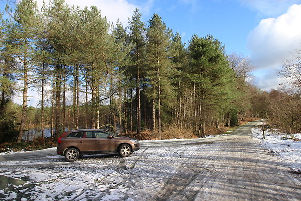 delamereforest012