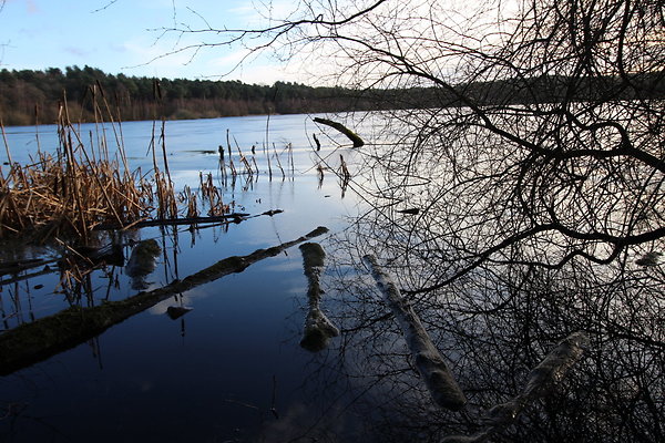 delamereforest114 delamereforest114