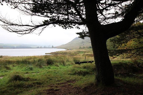 Haslingden Grane075