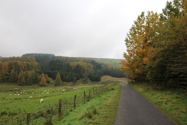 Haslingden Grane044