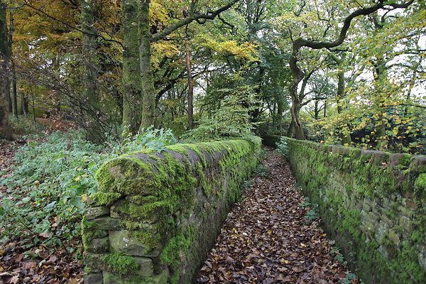 Haslingden Grane002