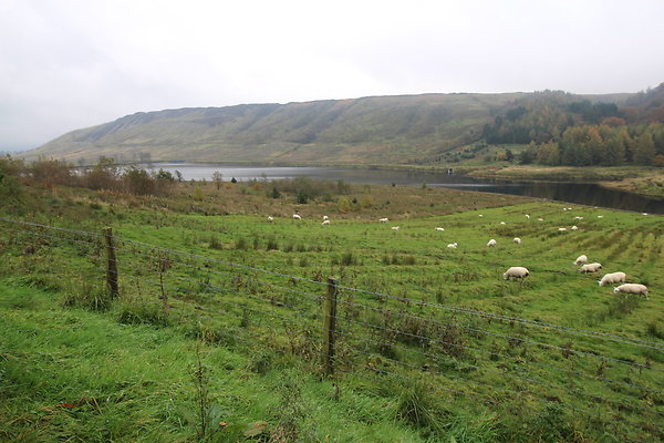 Haslingden Grane045