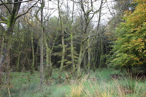 Haslingden Grane064