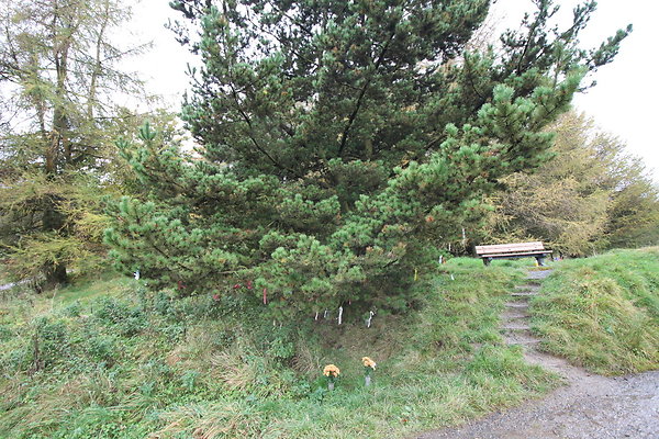 Haslingden Grane084