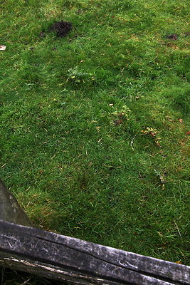 Haslingden Grane015
