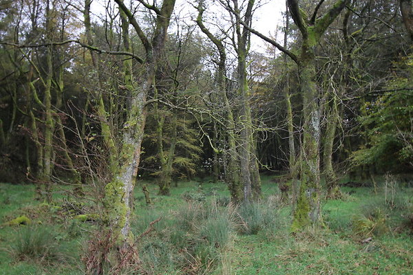Haslingden Grane065
