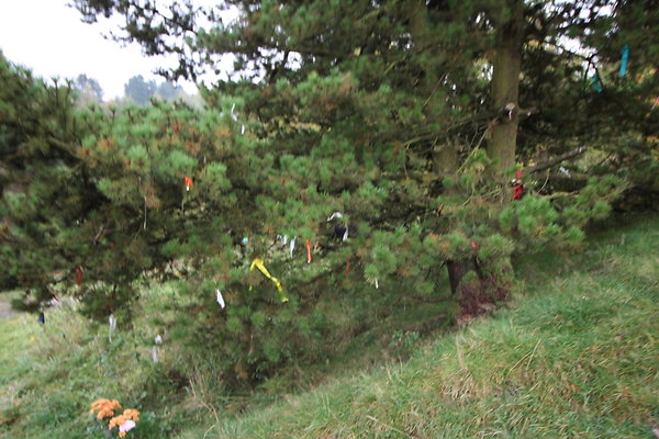 Haslingden Grane081