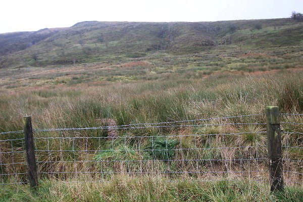 Haslingden Grane097